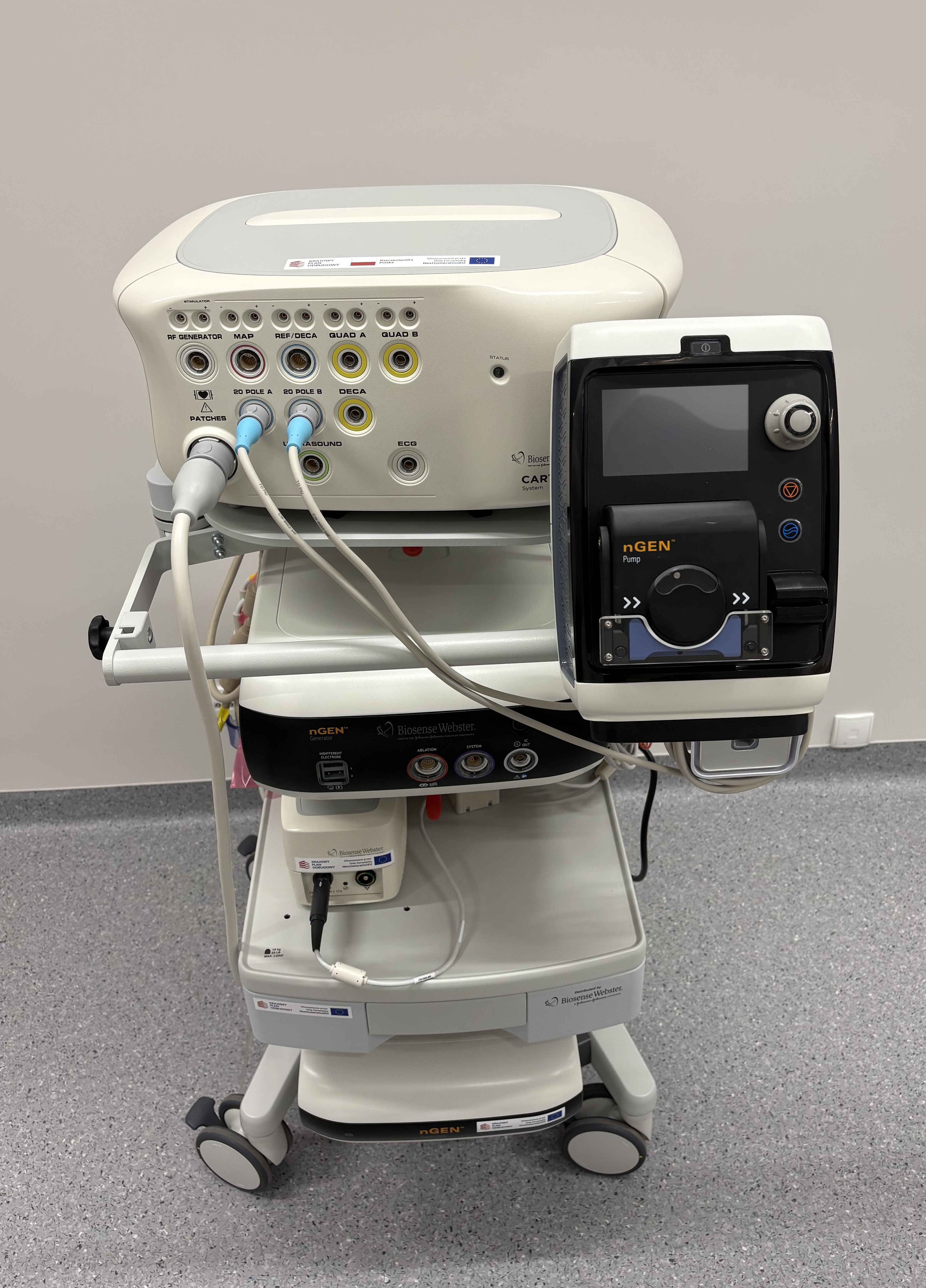 System elektroanatomiczny